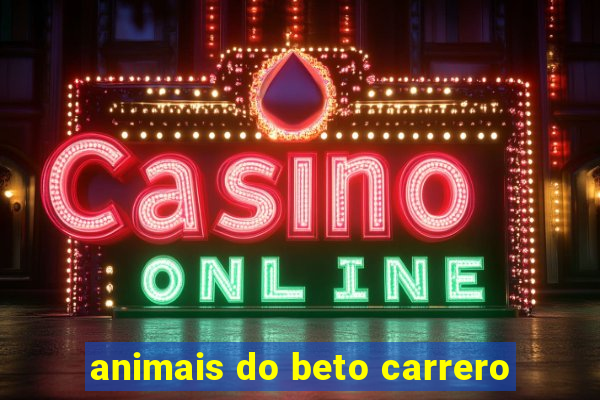 animais do beto carrero